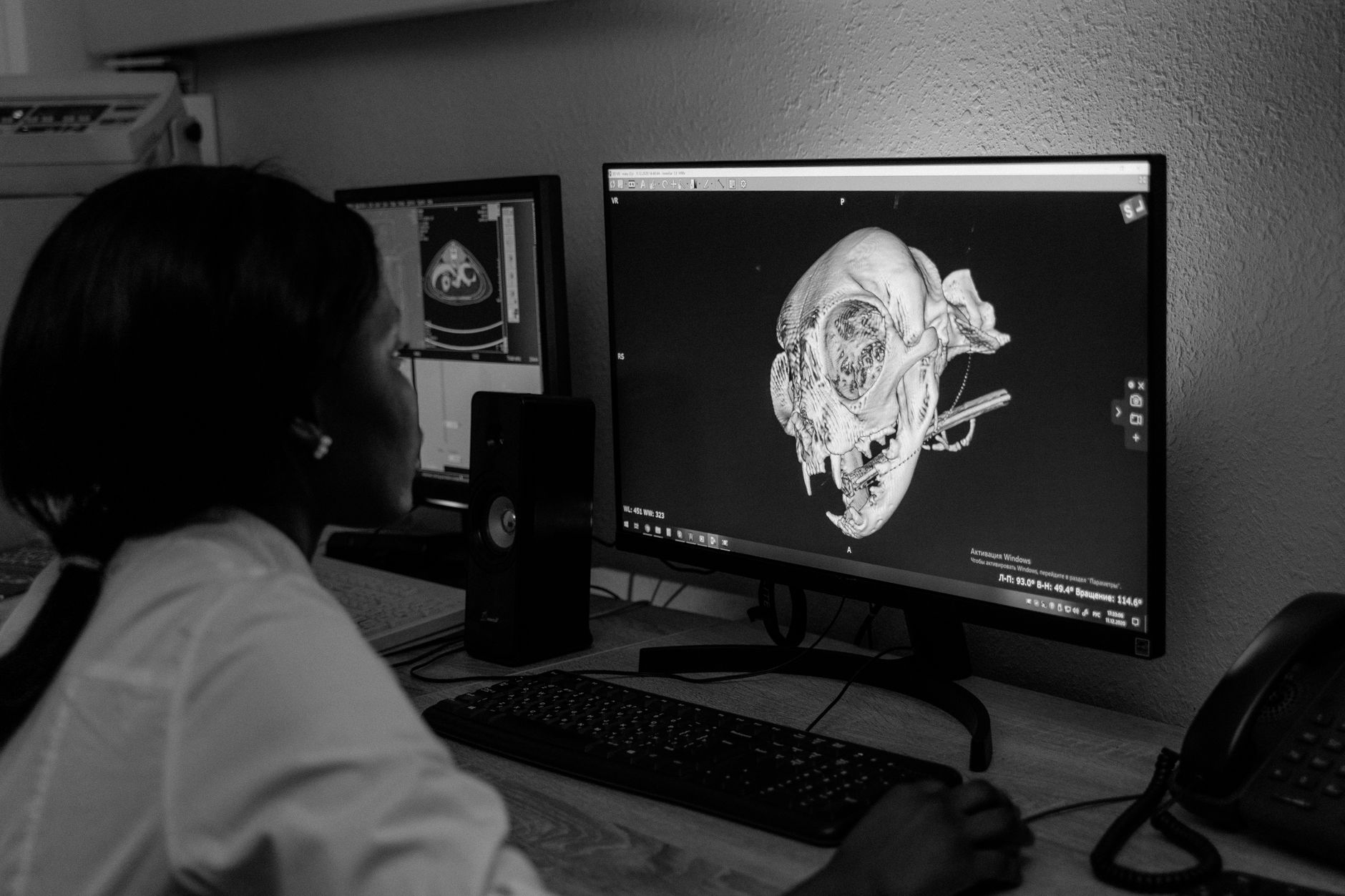 Diagnostics X-Ray at Longfield Polyclinic